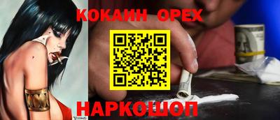 гашик Шебекино