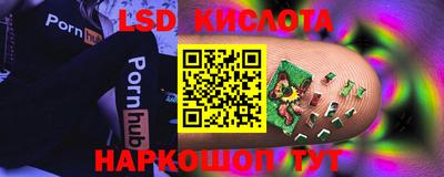 гашик Шебекино