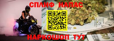 мдпв Шелехов